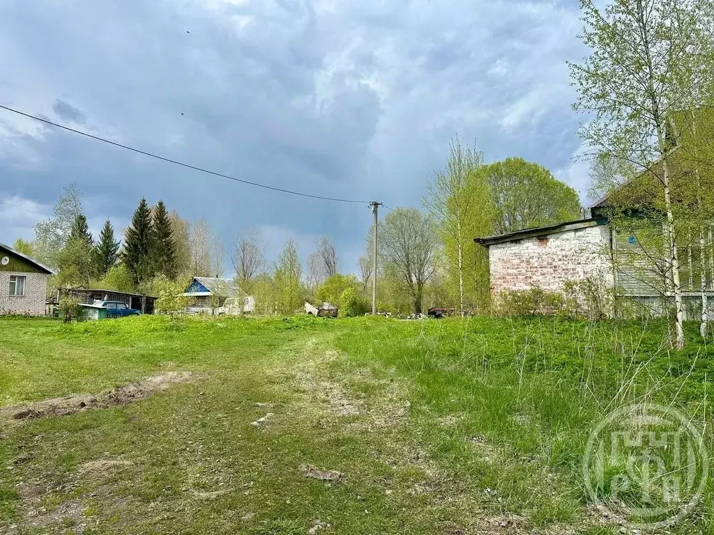 Участок в Новгородская область, Батецкий муниципальный округ, д. ... - Фото 1