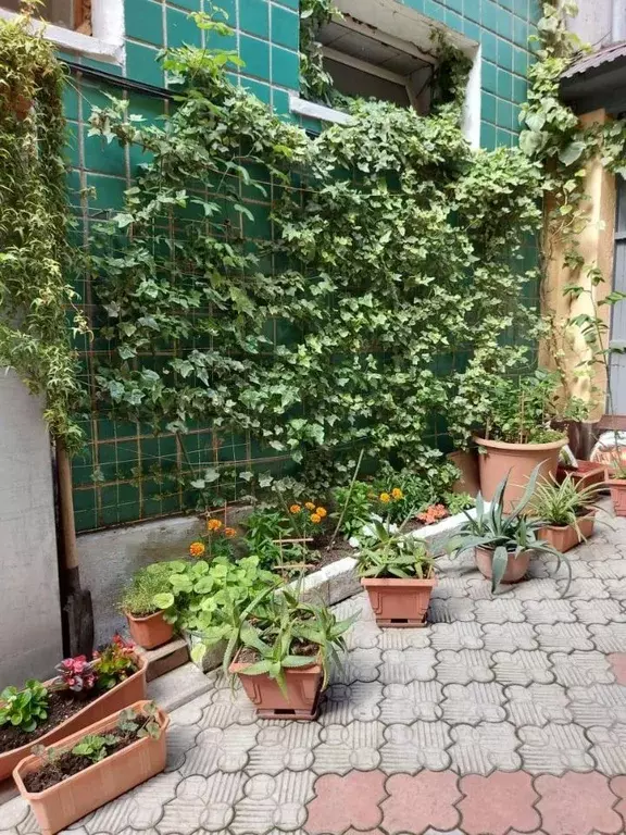 Дом в Крым, Ялта ул. Свердлова, 10 (78 м) - Фото 1