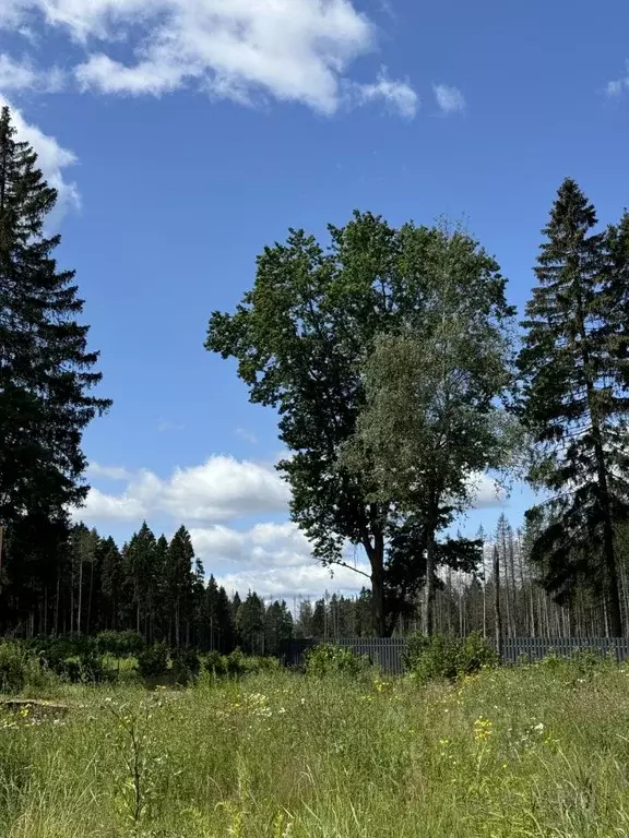 Коттедж в Московская область, Химки городской округ, д. Подолино, ... - Фото 0