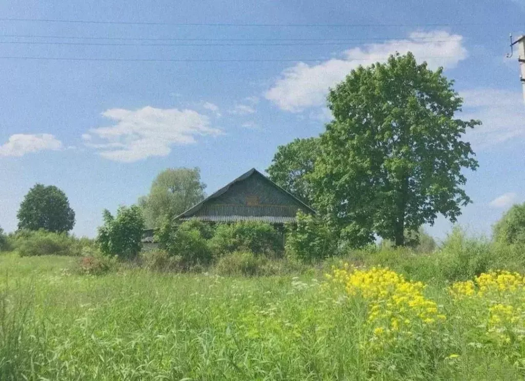 Участок в Тверская область, Старицкий муниципальный округ, д. ... - Фото 0