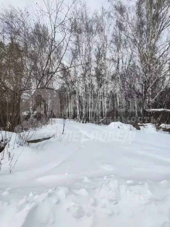 Участок в Тюменская область, Нижнетавдинский район, Строитель ТСН  ... - Фото 1