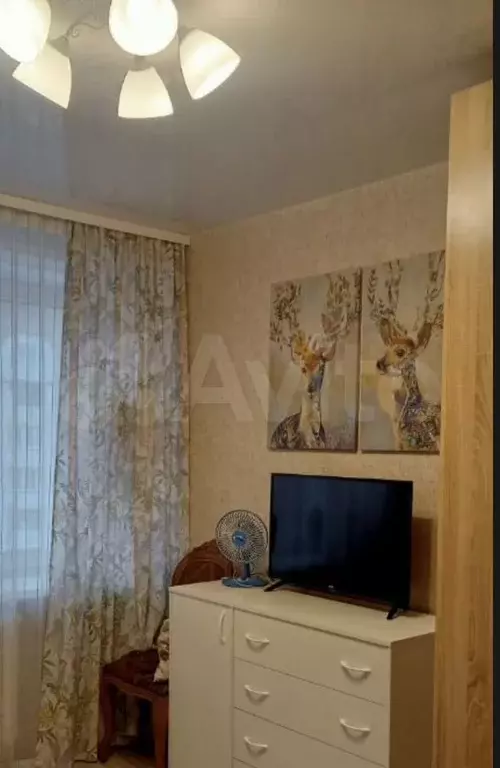 1-к. квартира, 18 м, 6/9 эт. - Фото 1