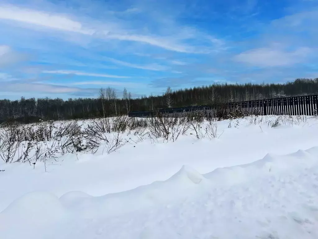 Участок в Московская область, Раменский муниципальный округ, Оттепель ... - Фото 2