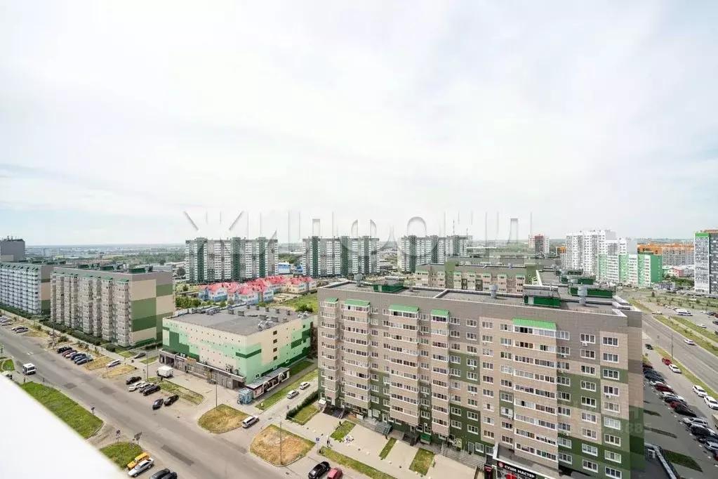Студия Алтайский край, Барнаул Балтийская ул., 101 (27.4 м) - Фото 2
