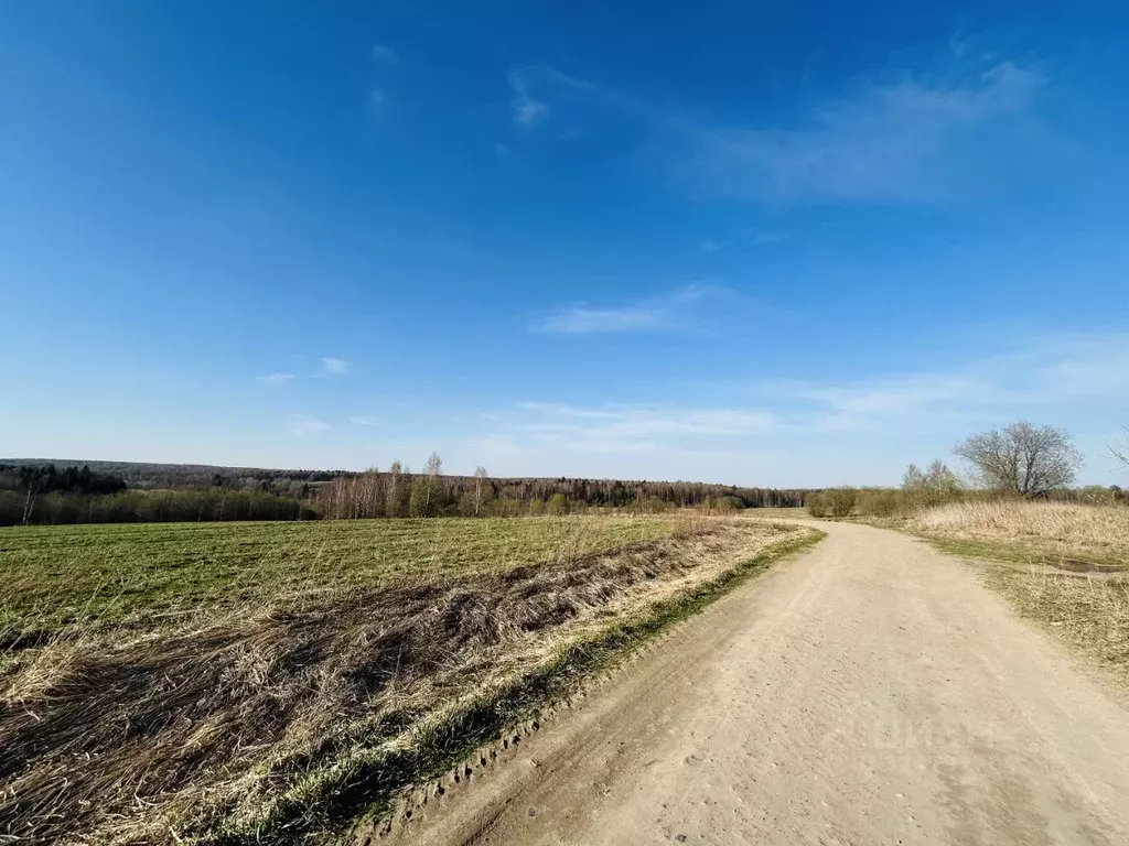 Участок в Владимирская область, Александровский муниципальный округ, ... - Фото 1