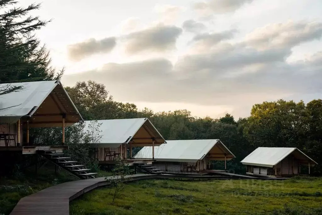 Дом в Сахалинская область, Курильский городской округ, с. Рейдово ул. ... - Фото 1