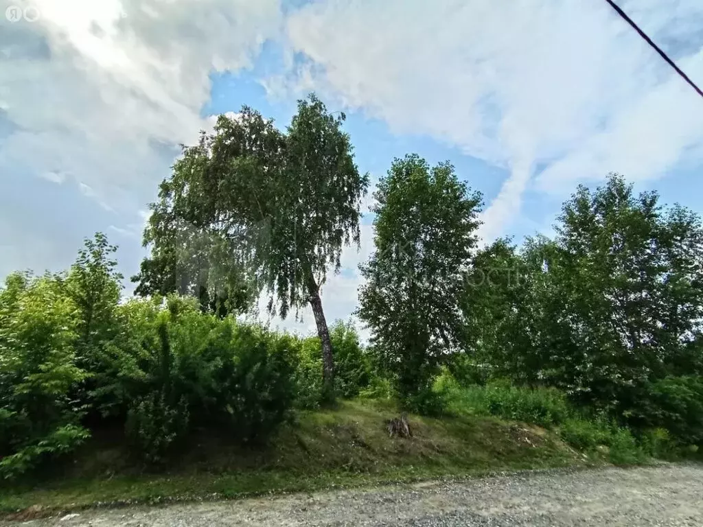 Участок в Талица, улица Луначарского (14 м) - Фото 0