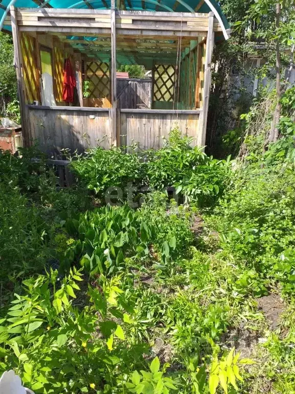 Дом в Курганская область, Кетовский муниципальный округ, Виктория СНО  ... - Фото 0