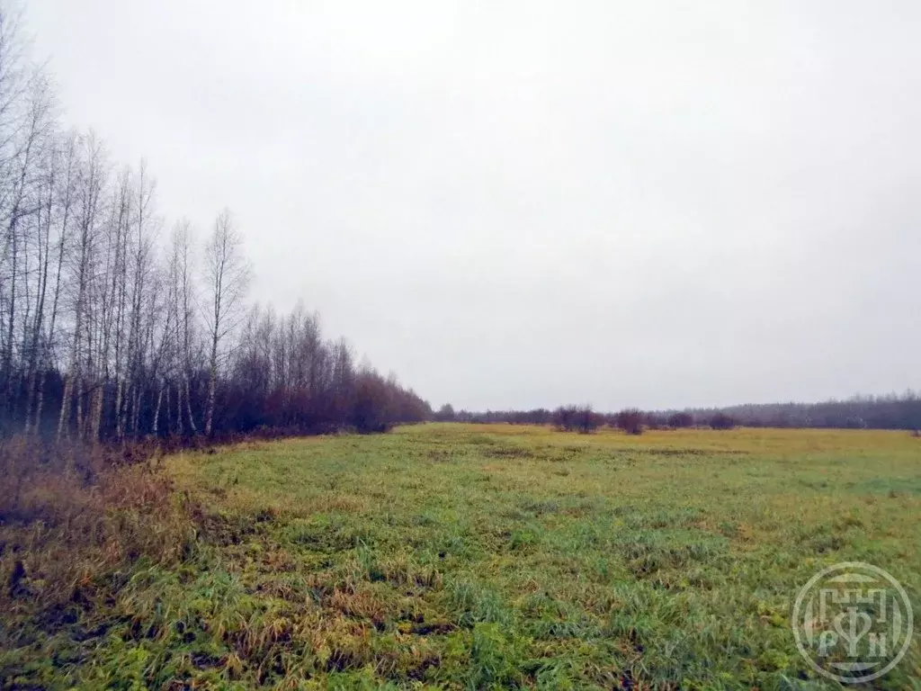Участок в Ленинградская область, Выборгский район, Красносельское ... - Фото 2
