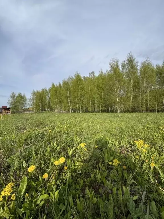 Участок в Тверская область, Конаково Пригородная ул. (7.8 сот.) - Фото 1
