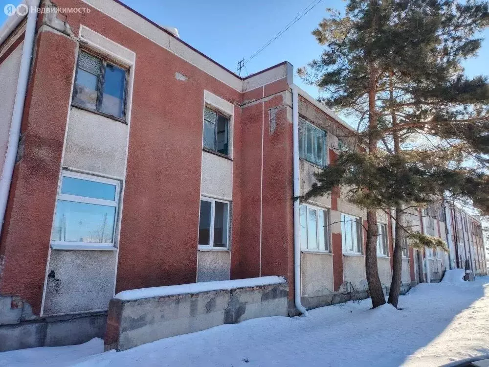 1-комнатная квартира: село Сорочино, Больничная улица, 1 (20 м) - Фото 2