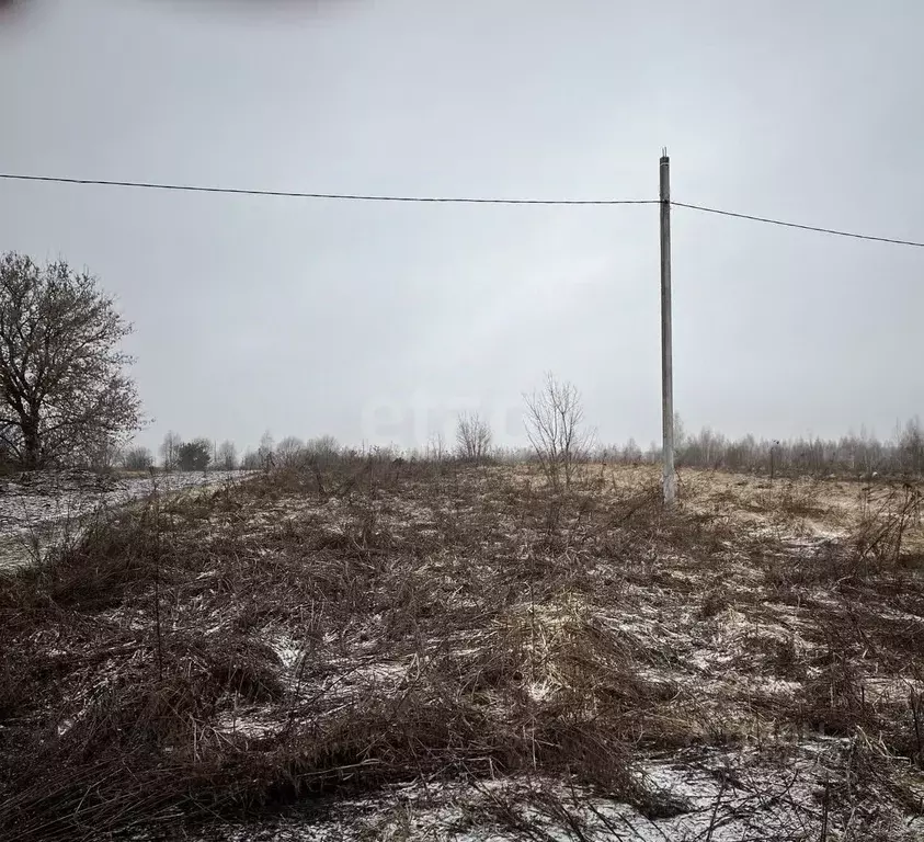 Участок в Брянская область, Брянский район, Нетьинское с/пос, Ласточка ... - Фото 1