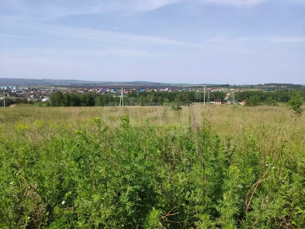 Участок в Красноярский край, Емельяновский муниципальный округ, ... - Фото 2