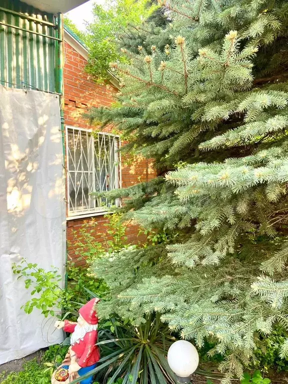 Дом 51,1 м на участке 4 сот. - Фото 1
