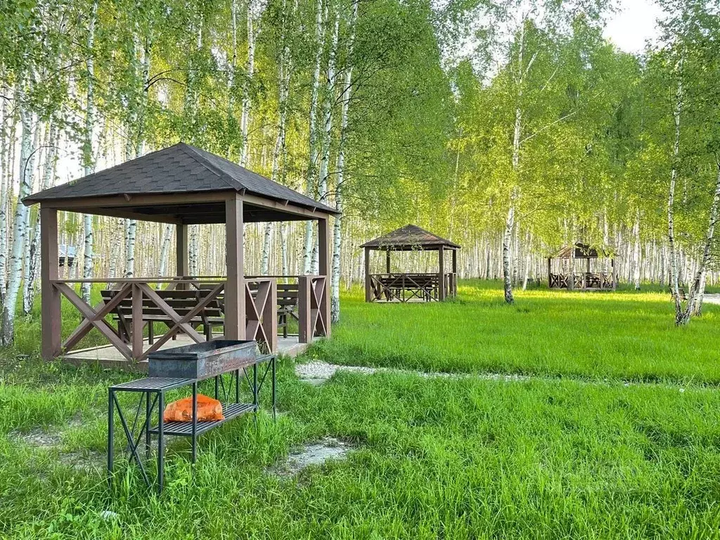 Участок в Московская область, Ступино городской округ, с. Мышенское, ... - Фото 2