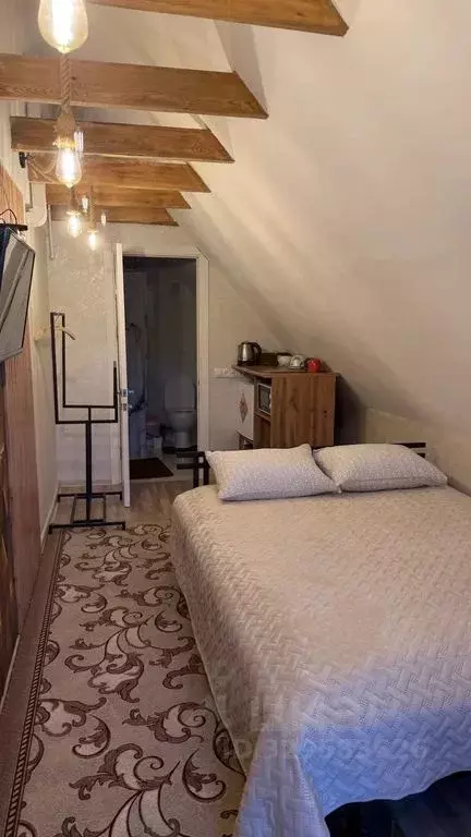 Дом в Нижегородская область, с. Дивеево пер. 1-й Солнечный, 3 (15 м) - Фото 2
