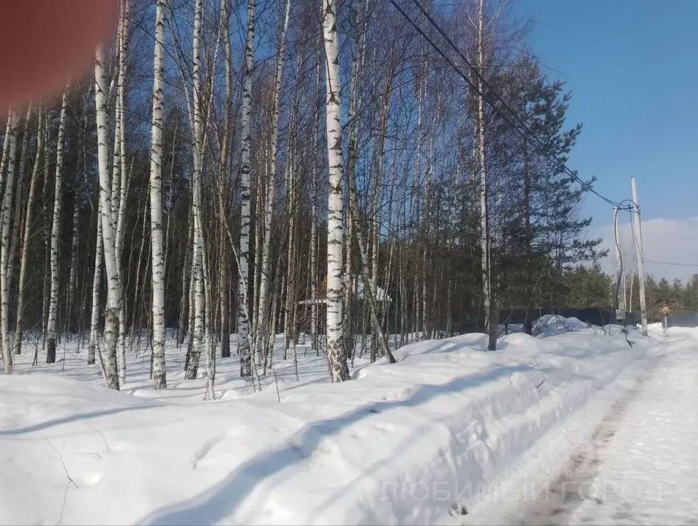 Участок в Нижегородская область, Нижний Новгород С восточной стороны ... - Фото 2