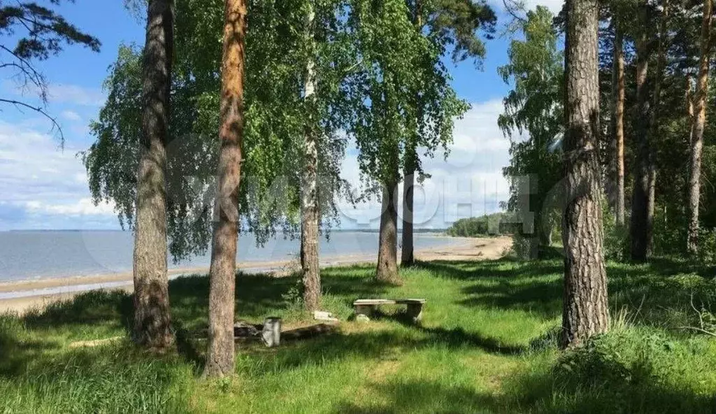 Участок 8,7 сот. (ИЖС) - Фото 0