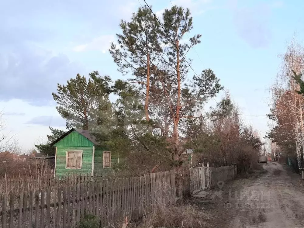 Дом в Омская область, Омск СОСН Сибирский Садовод-9 тер., аллея 6-я ... - Фото 0