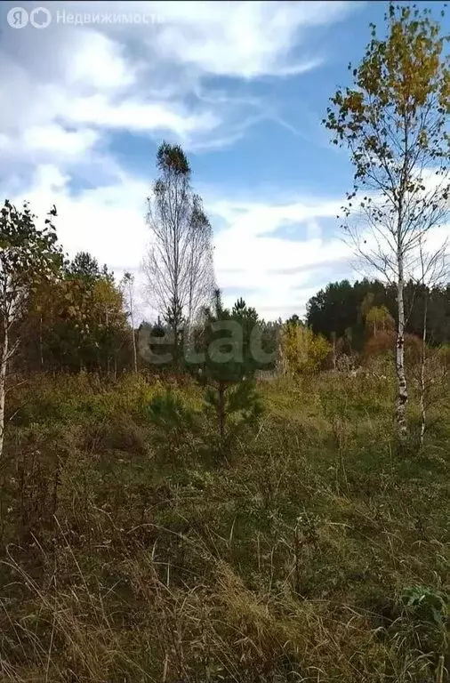 Участок в Миасский городской округ, посёлок Северные Печи (1493 м) - Фото 2