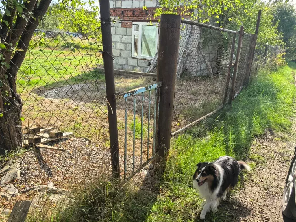 Участок в Калининградская область, Багратионовский муниципальный ... - Фото 2