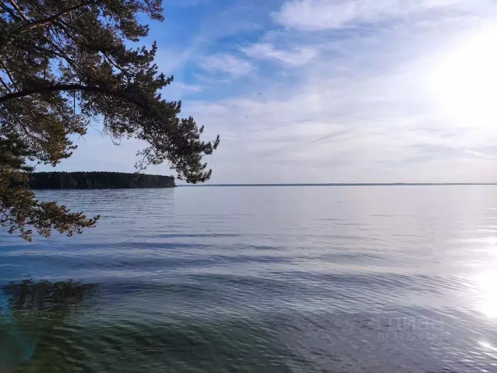 Дом в Нижегородская область, Сокольский городской округ, д. Вязовики ... - Фото 1