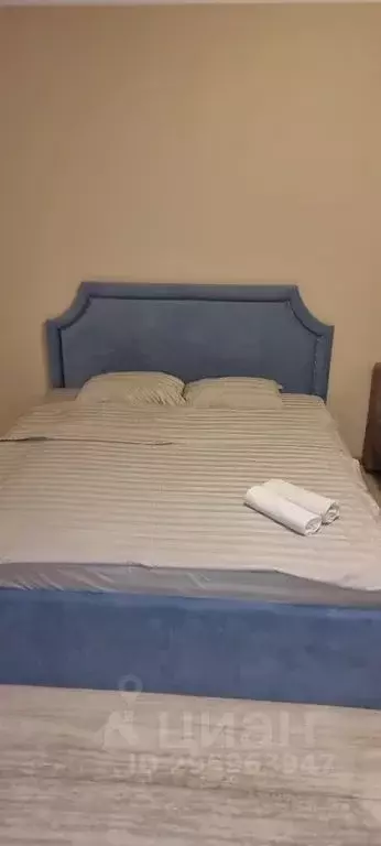 1-к кв. Московская область, Ивантеевка Пушкинский городской округ, ... - Фото 2