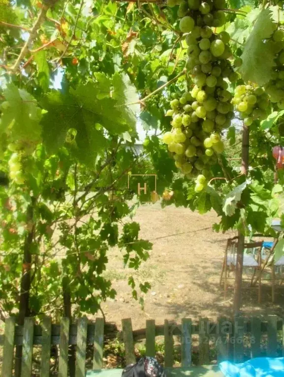 Дом в Крым, Сакский район, с. Веселовка ул. Новая, 65 (47 м) - Фото 2