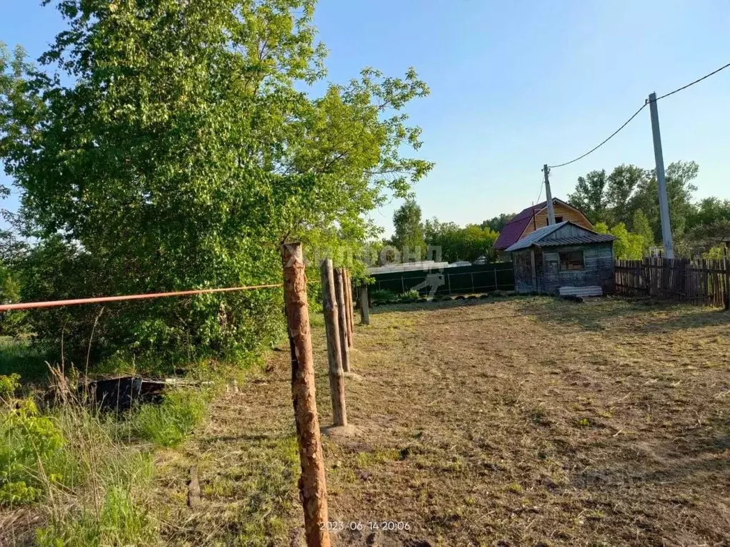 Участок в Новосибирская область, Новосибирск Буревестник садовое ... - Фото 0