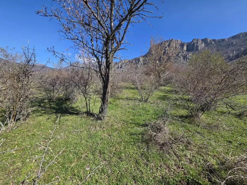 Участок в Крым, Алушта муниципальный округ, с. Лучистое ул. Имени Ю. ... - Фото 2