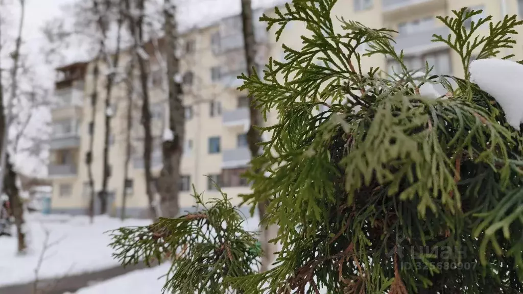 2-к кв. Московская область, Жуковский ул. Мясищева, 8 (46.3 м) - Фото 1