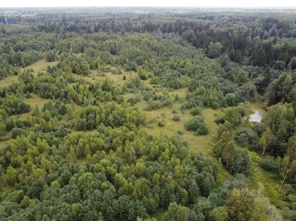 Участок в Московская область, Волоколамский муниципальный округ, д. ... - Фото 1