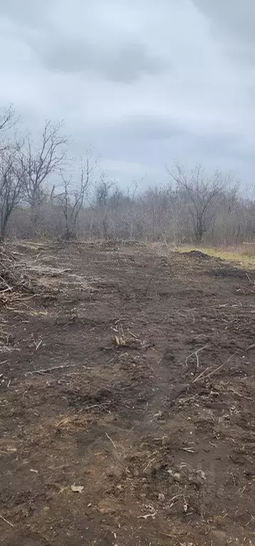 Участок в Ростовская область, Новочеркасск № 16 садовое товарищество, ... - Фото 1