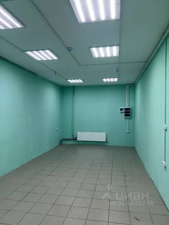Торговая площадь в Ханты-Мансийский АО, Сургут ул. Александра ... - Фото 1