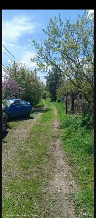 Участок в Саратовская область, Воскресенский район, Елшанское ... - Фото 1
