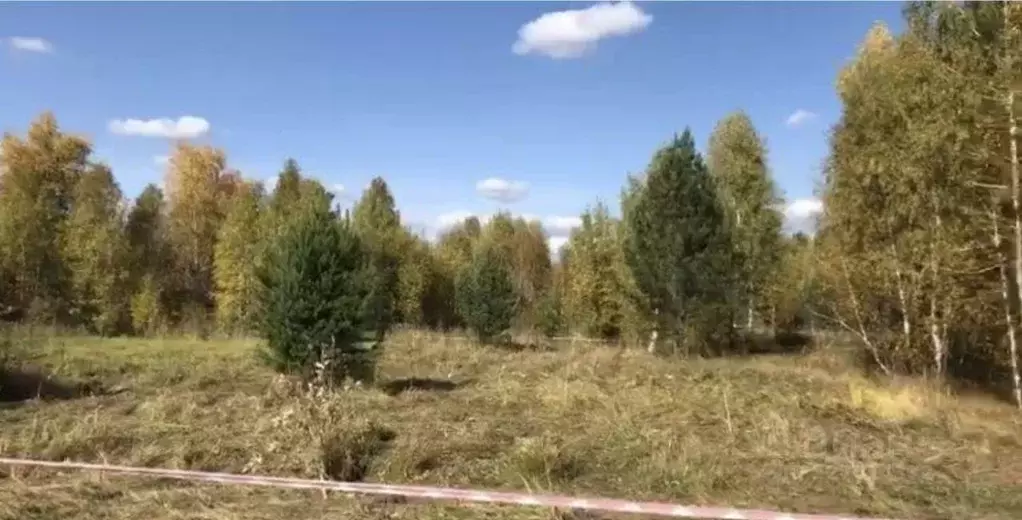 Участок в Томская область, Томский район, Зоркальцевское с/пос, д. ... - Фото 1