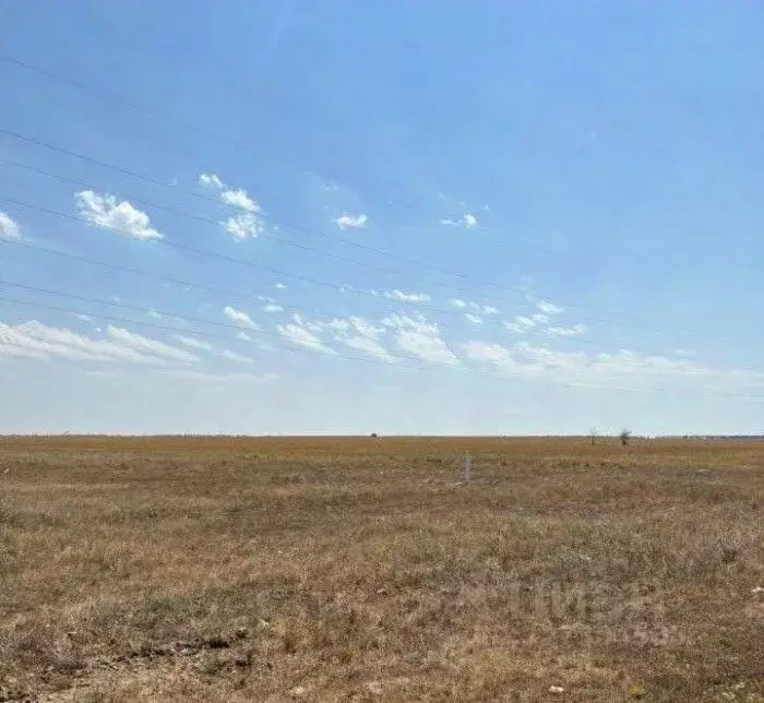 Участок в Крым, Сакский район, Штормовское с/пос, с. Приветное ул. ... - Фото 2