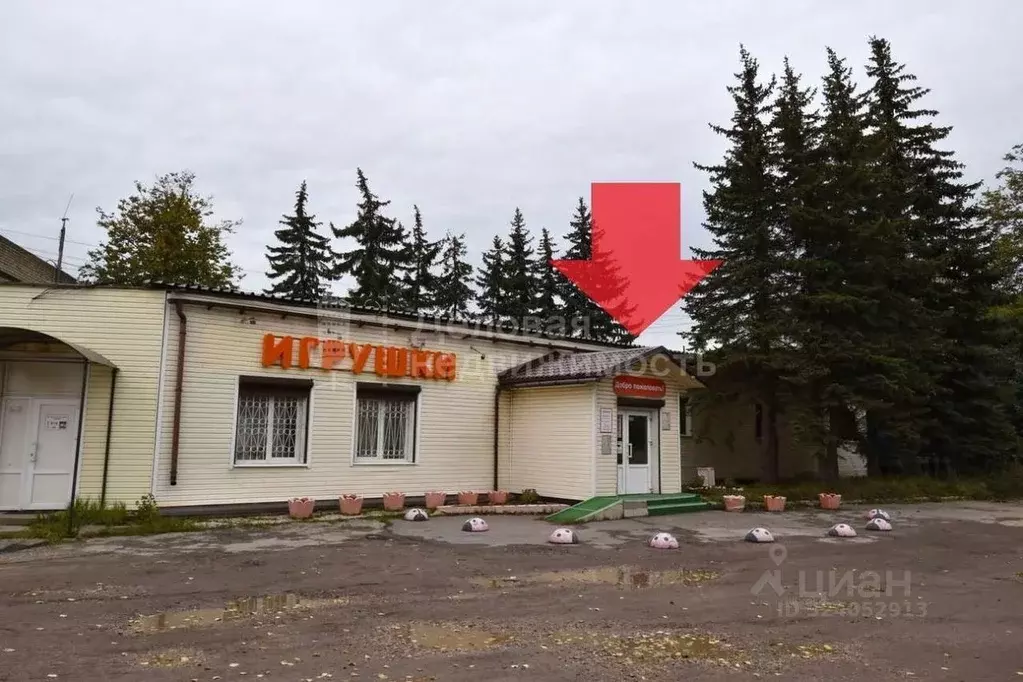 Помещение свободного назначения в Новгородская область, Великий ... - Фото 1