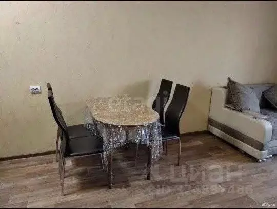 Студия Амурская область, Благовещенский район, с. Чигири Восточная ... - Фото 1