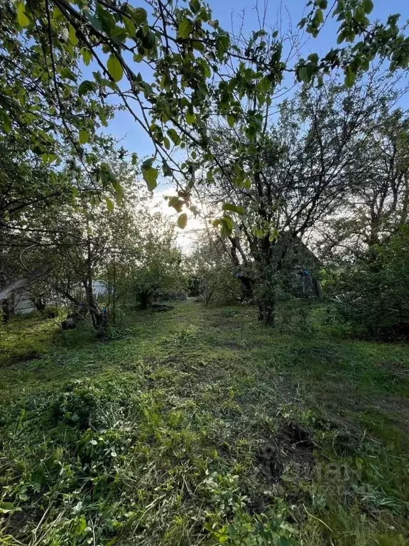 Дом в Волгоградская область, Волгоград Металлург СНТ, 3-й участок ... - Фото 1