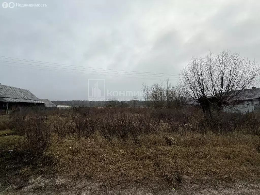 Участок в Владимирская область, Гусь-Хрустальный муниципальный округ, ... - Фото 1