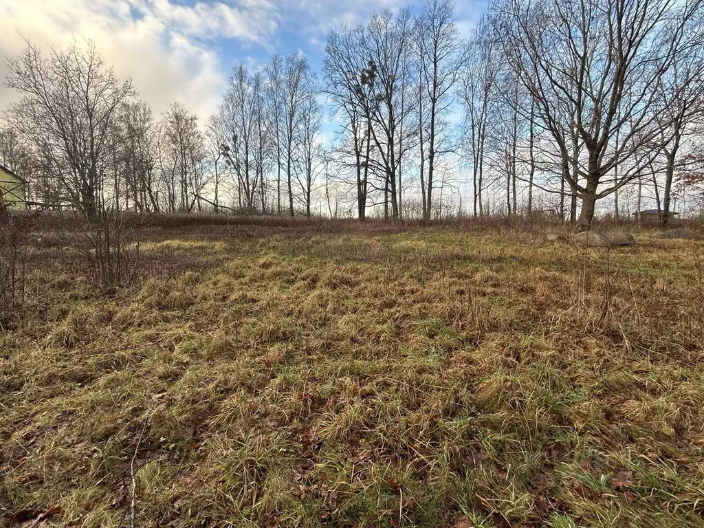 Участок в Калининградская область, Гурьевский муниципальный округ, ... - Фото 2