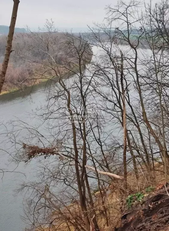 Участок в Липецкая область, Задонский муниципальный округ, с. Нижнее ... - Фото 1