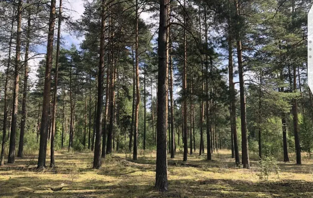 Участок в Ленинградская область, Луга ул. Малая Заречная, 6 (21.51 ... - Фото 0