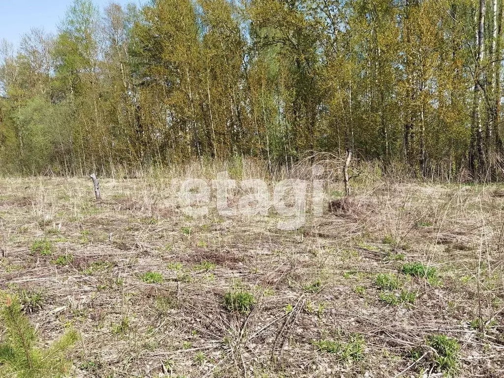 Участок в Брянская область, Брянский район, Отрадненское с/пос, с. ... - Фото 2