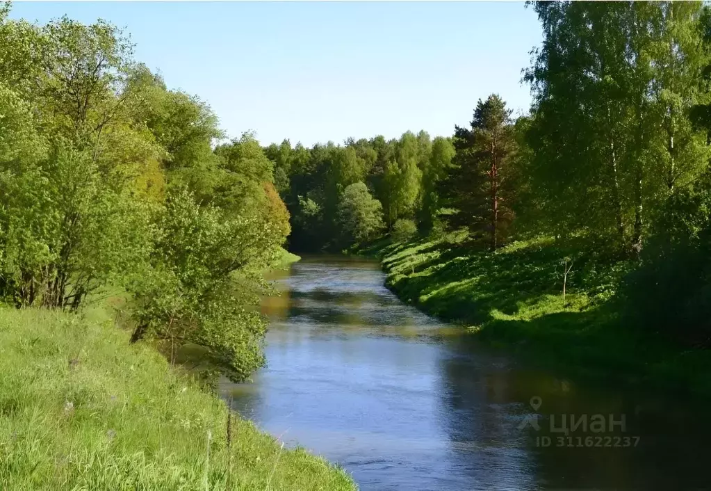 Участок в Московская область, Щелково городской округ, Каблуково кп ... - Фото 0