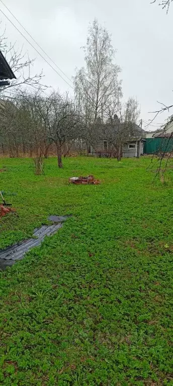 Участок в Санкт-Петербург Рот-фронт СНТ, ул. Рябиновая, 17 (9.0 сот.) - Фото 1