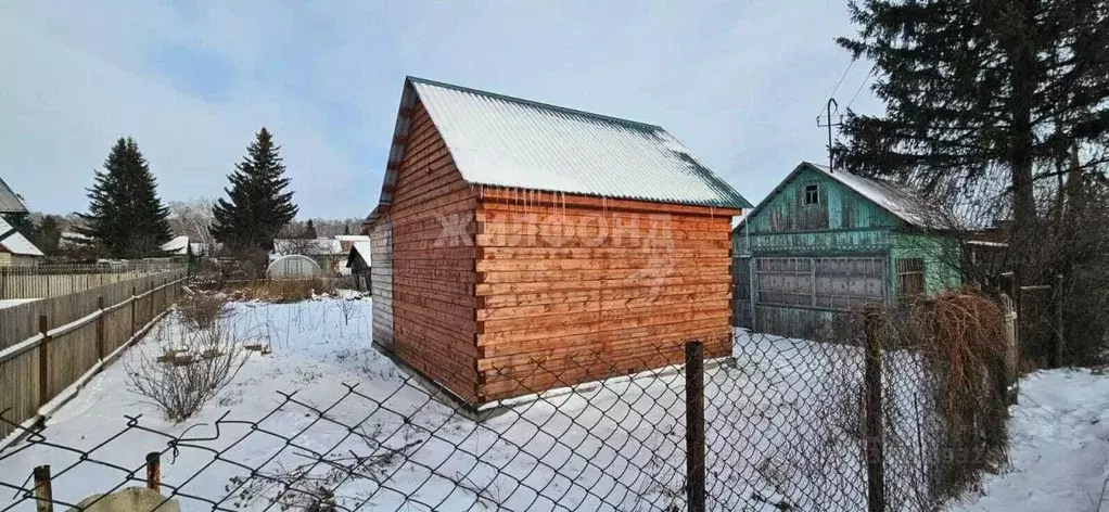 Дом в Новосибирская область, Новосибирский район, Толмачевский ... - Фото 0