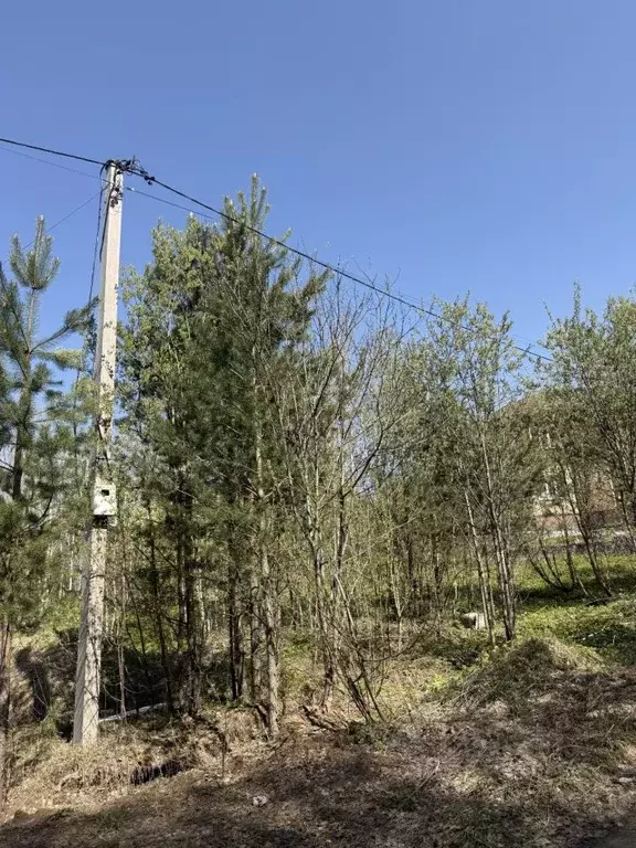 Участок в Томская область, Томск пос. Родионово, ул. Полянка, 2 (14.0 ... - Фото 1
