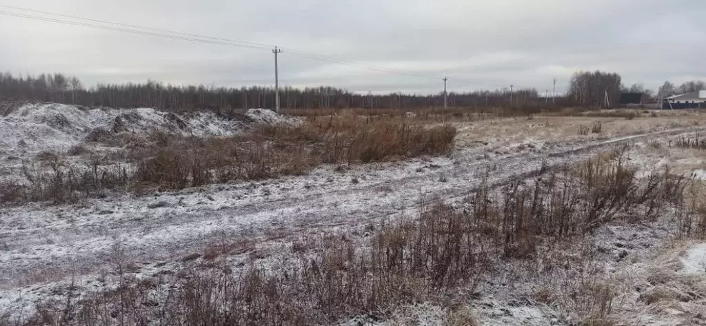 Участок в Московская область, Шатура муниципальный округ, пос. ... - Фото 0